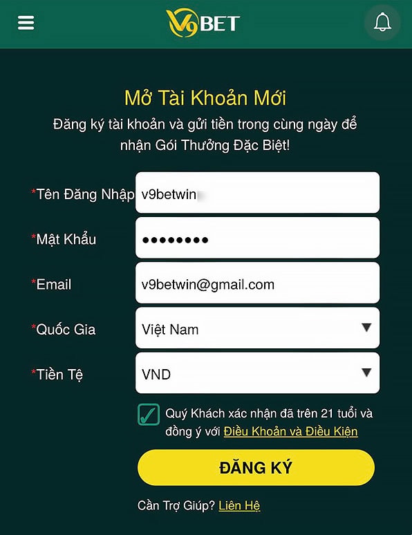 Điền các thông tin theo yêu cầu đăng ký tài khoản V9BET 