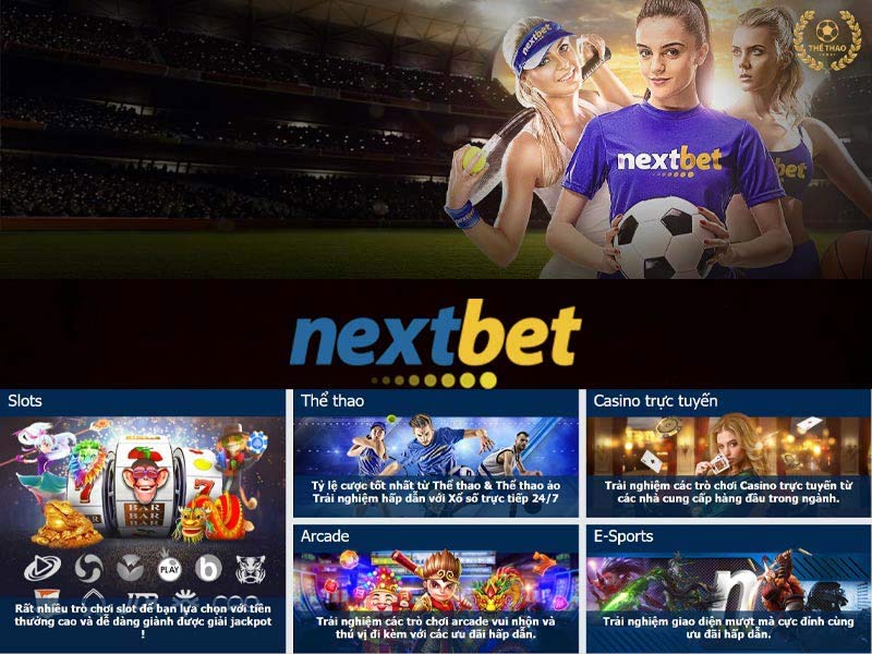 Sảnh cược casino Nextbet thu hút nhiều người tham gia 